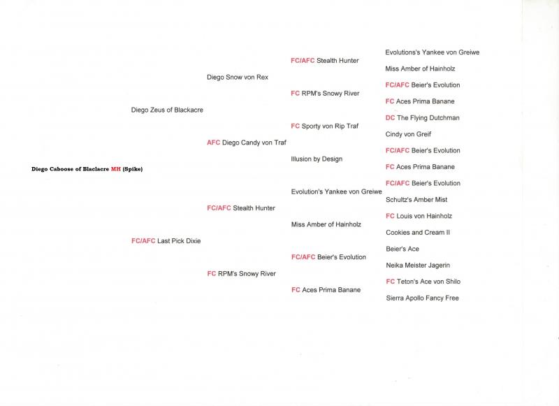 Diego Caboos of Blackacre MH  (Spike)